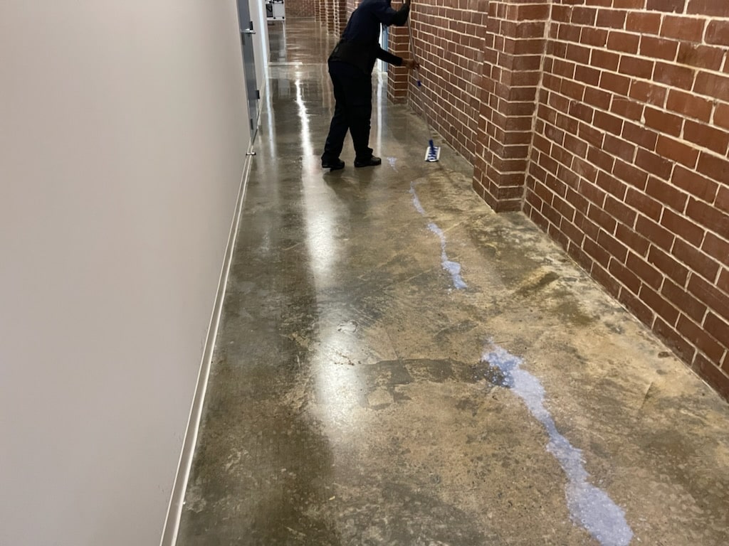Walls and Floor Cleaning Services