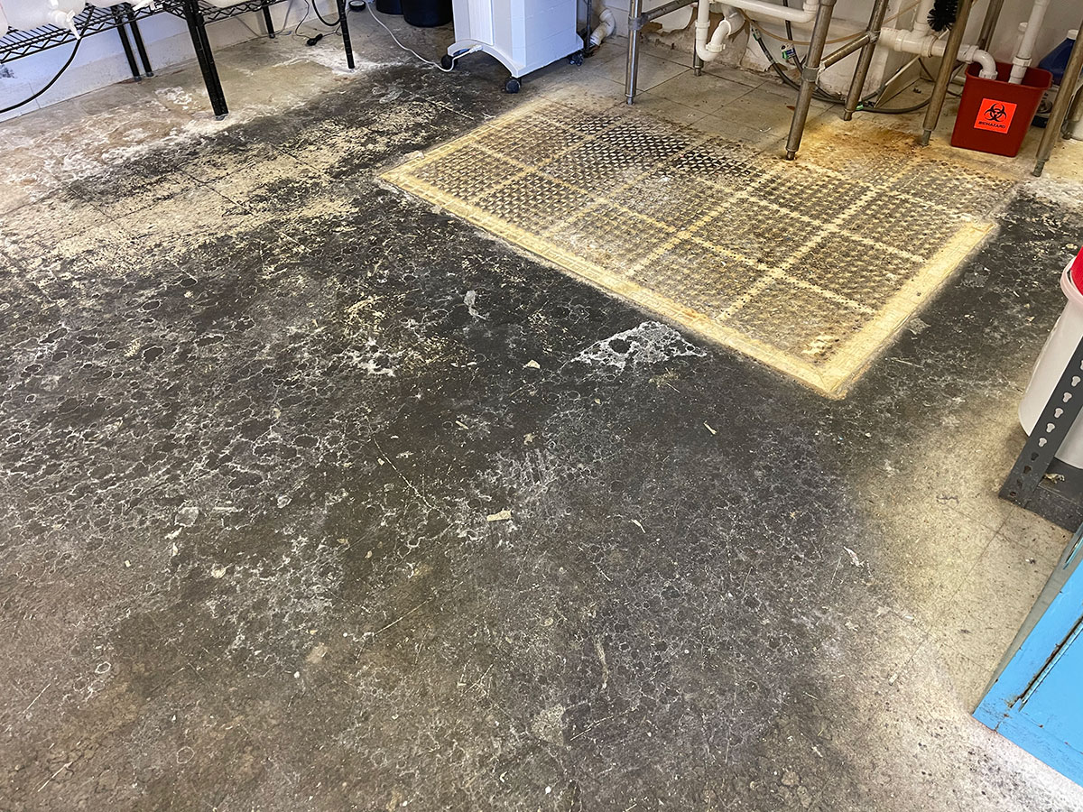 Floor Stripping And Waxing - 360 Floor Cleaning Services