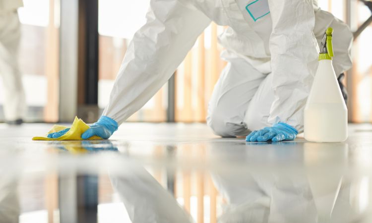 Why Floor Cleaning Is Important?
